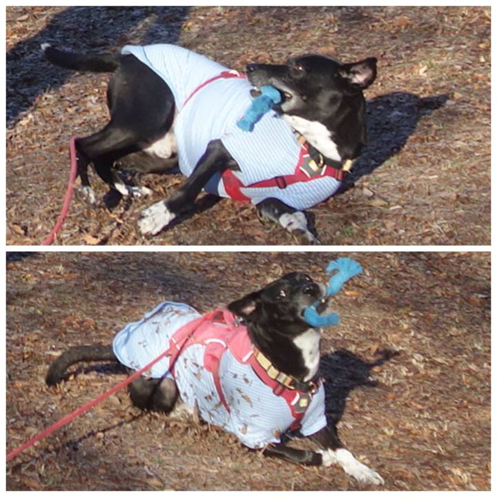 10a10d1f 6da3 4902 9b87 28195c3acd89 1703297278906