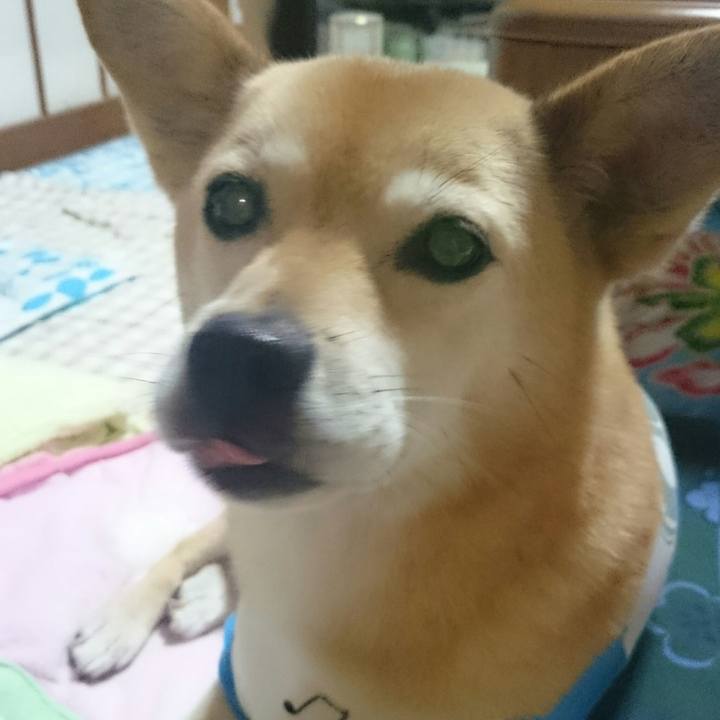 10a10df7 ef70 4454 a687 203eef654b50 1530109553408