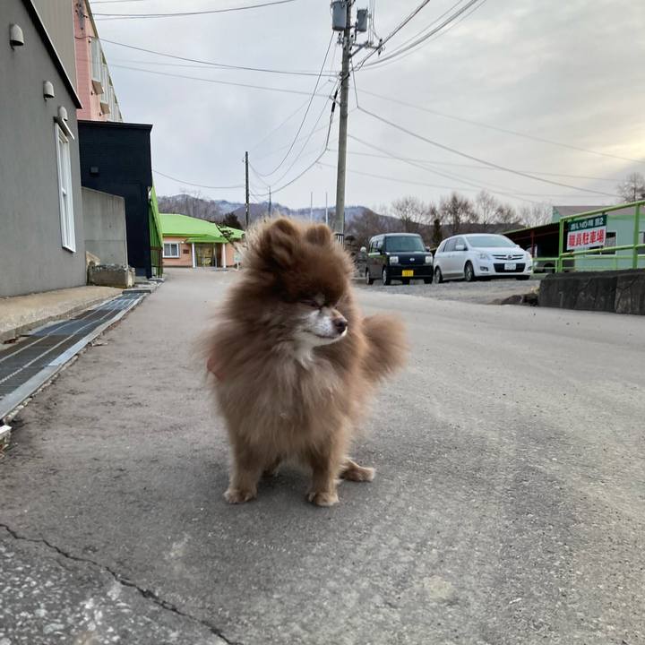 10a14852 7fb4 421f aa74 ccbf9d73315d 1708661954470