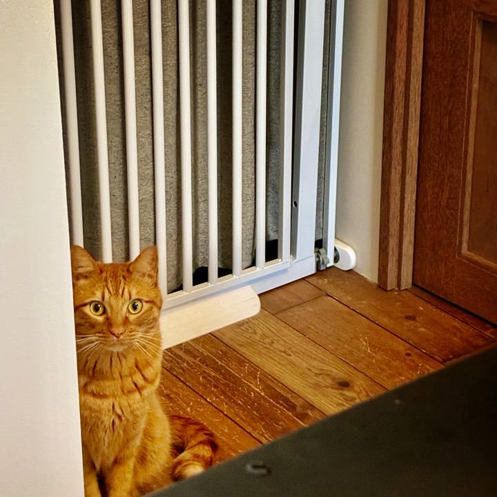 10a15e82 a35e 42a6 af08 32ce7e8f47cc 1771199473442