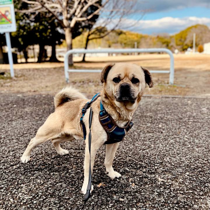 10a19735 e653 4a9d b452 0c353fb49b10 1770824761910