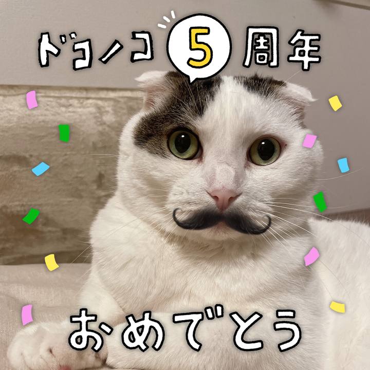 10a1a3dc e212 46a6 bb10 b2c806d3df88 1623016932873