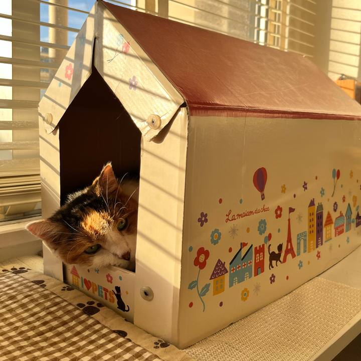 10a1ea92 8607 4314 8089 c3e6778c8537 1699401019241