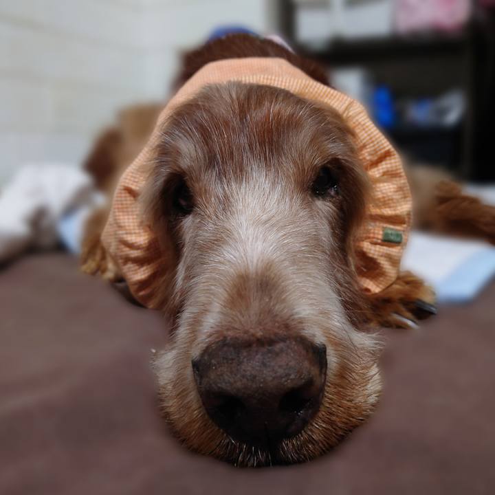 10a1f292 0a0d 48b2 9f7a 0ae583beeaae 1737023328751