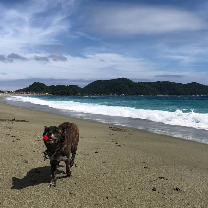 10a2032e 3afb 4a01 945d b7a63a4be450 1562835336675