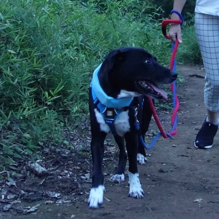 10a21953 0dac 4720 9b84 b78094499b23 1628160441695