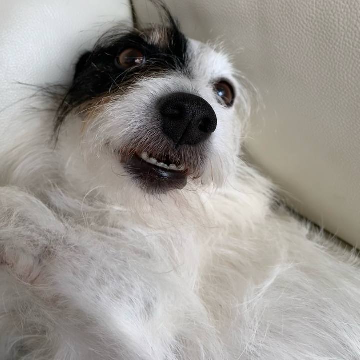 10a24b37 e479 4af7 9fc3 18e2afbb9c81 1686031555291