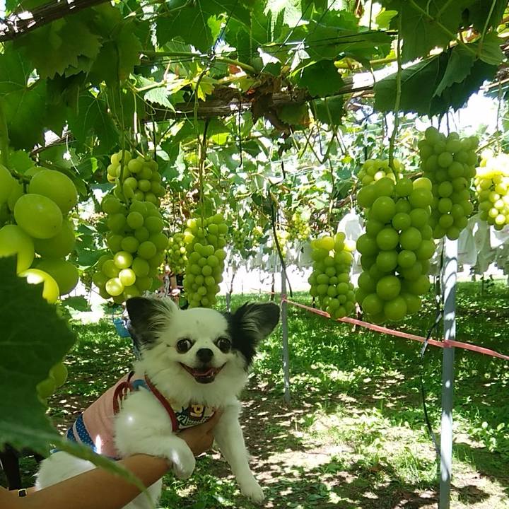 10a2527c ca88 4c45 a976 07c9ebdfed6b 1537183882532