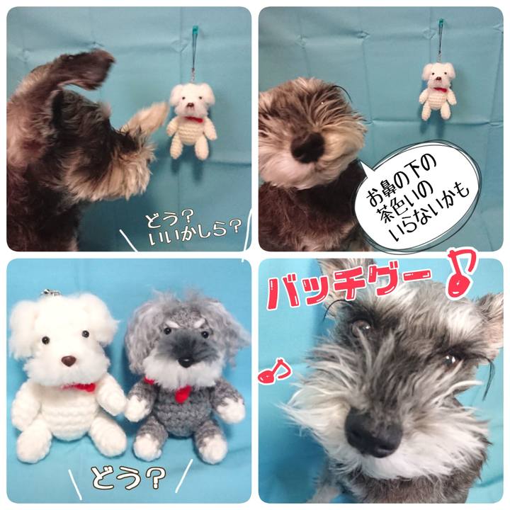 10a26a89 400d 4e3f bd76 6b83f892520d 1520471127146