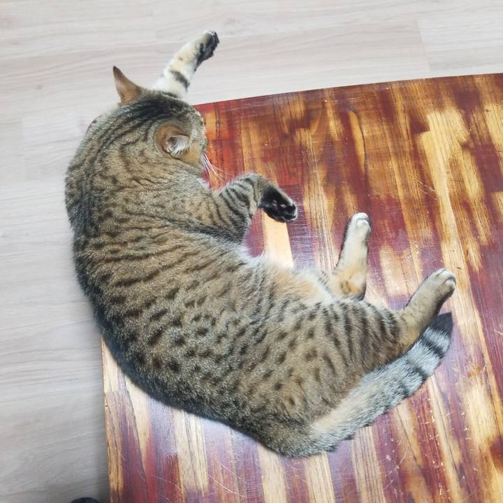 10a26c71 894e 4fe9 b7a7 a3ac6a1100d6 1589750457607