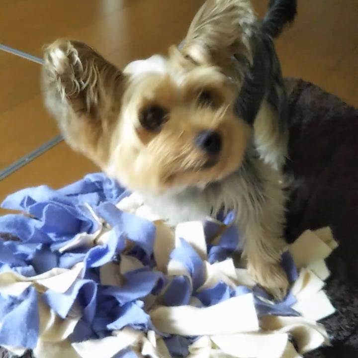 10a283b1 7469 4051 b660 99c15e1e2b35 1596939157857