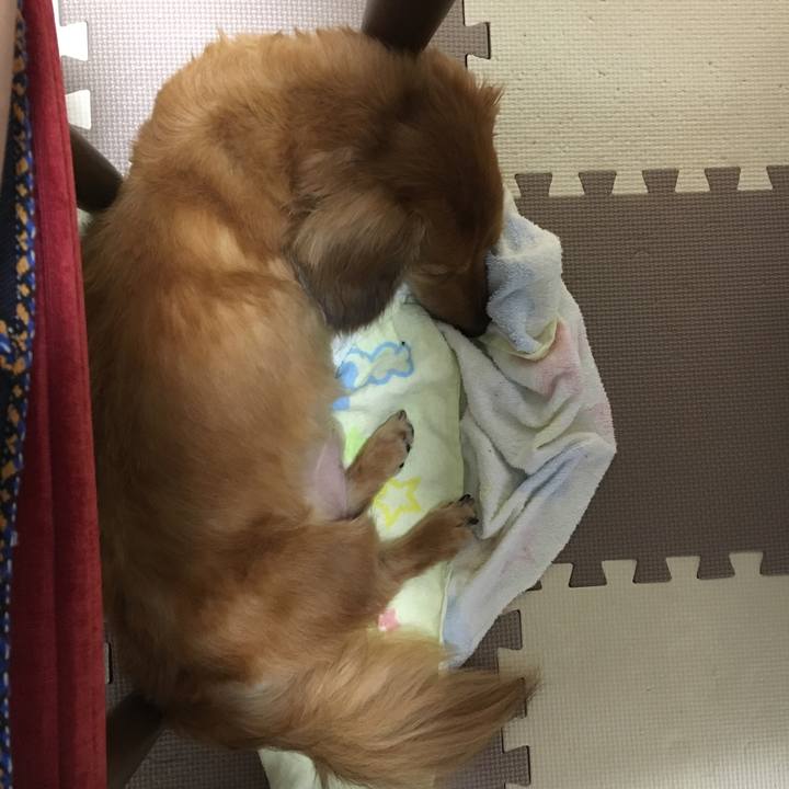 10a29675 e181 4a87 8535 0e3d56546409 1528286200978