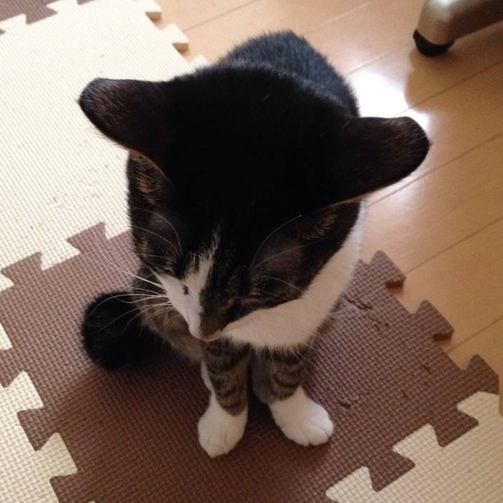 10a2a933 3493 4aa1 8bbb 8be88203c572 1514234199100