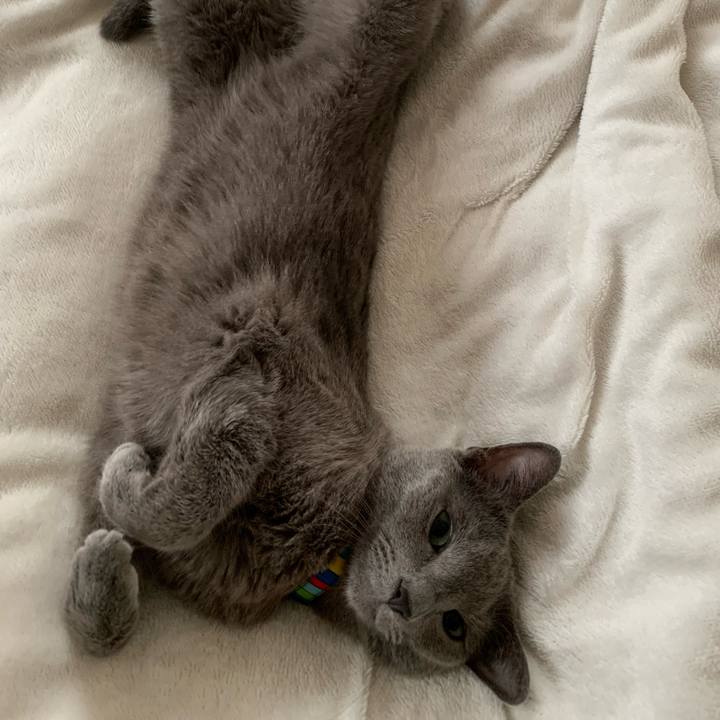 10a2c49e b0fd 487b b754 8ac92bc2486c 1663994619307