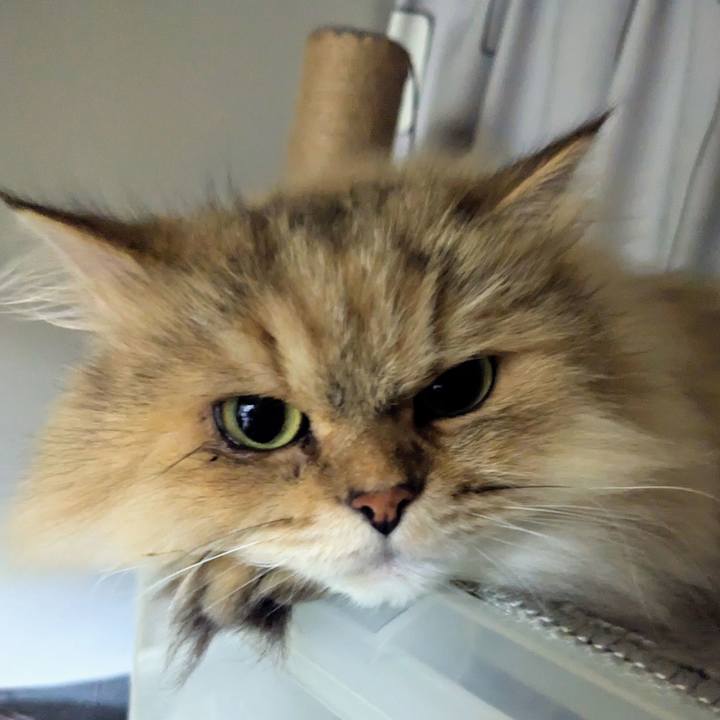 10a2dc33 27d8 46fd 9e7a 578fad4d2f47 1698271466157