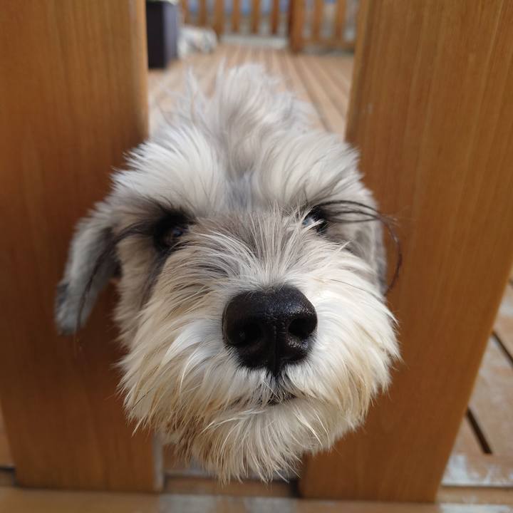 10a301fb e292 4335 a5b9 19c6b1a70007 1764631849901