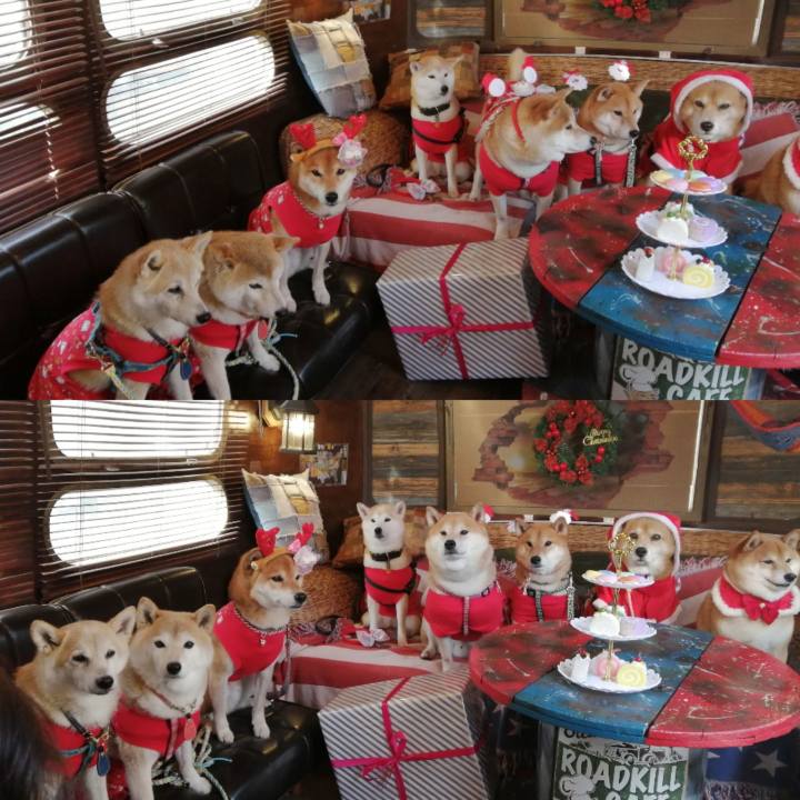 10a3210a 0a0c 47de b87e e77c8c17f147 1640428356411