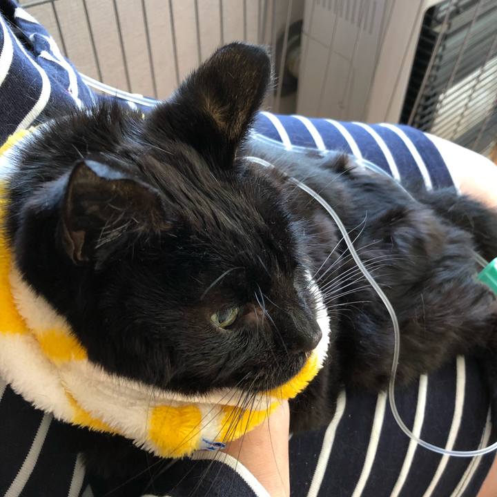 10a34218 d6a0 4a80 b1e1 453822fc867a 1558141108276