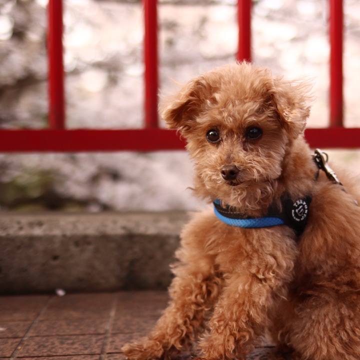 10a34b3c 1f0a 4c2b 9fa7 bd0ca782898a 1667729520510