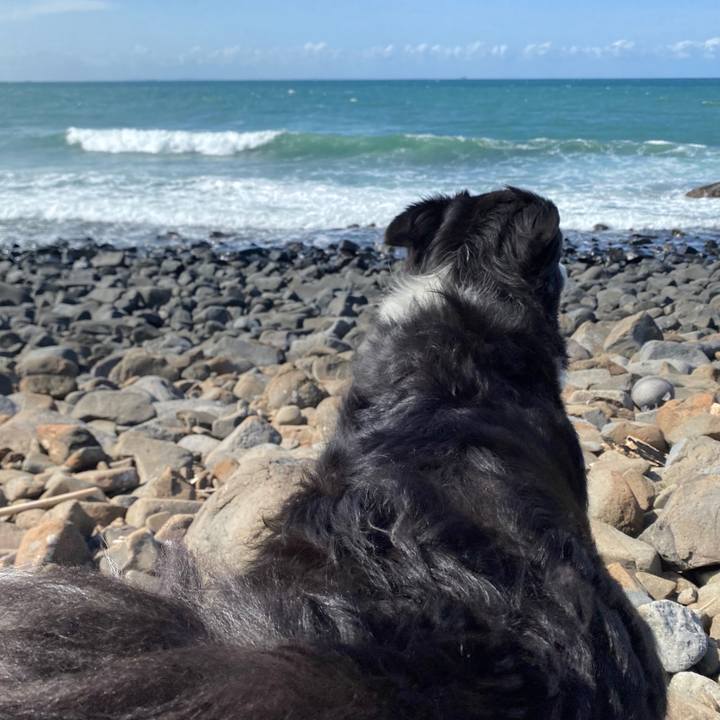 10a36c9b 897d 48d9 adfe 1d45b03f4a44 1601271594765