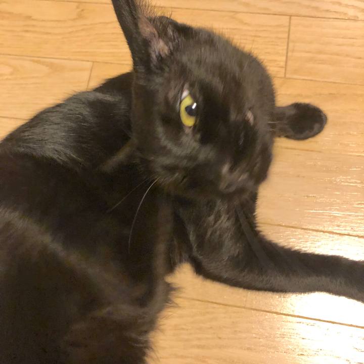 10a3a214 d748 40ce ae11 5b3aaa64bb1c 1568553765421