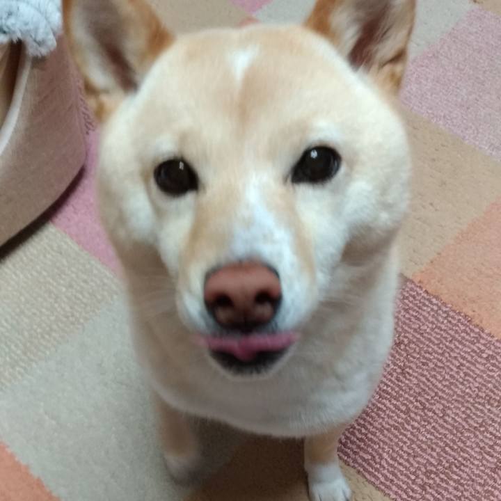 10a3b218 2d95 4fce 9a7e e2a866a6f160 1582061844582