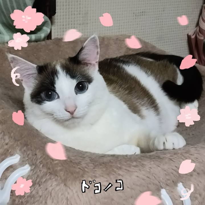 10a3ca09 a6bc 40db aa3c 6133db58bc8f 1744781857483