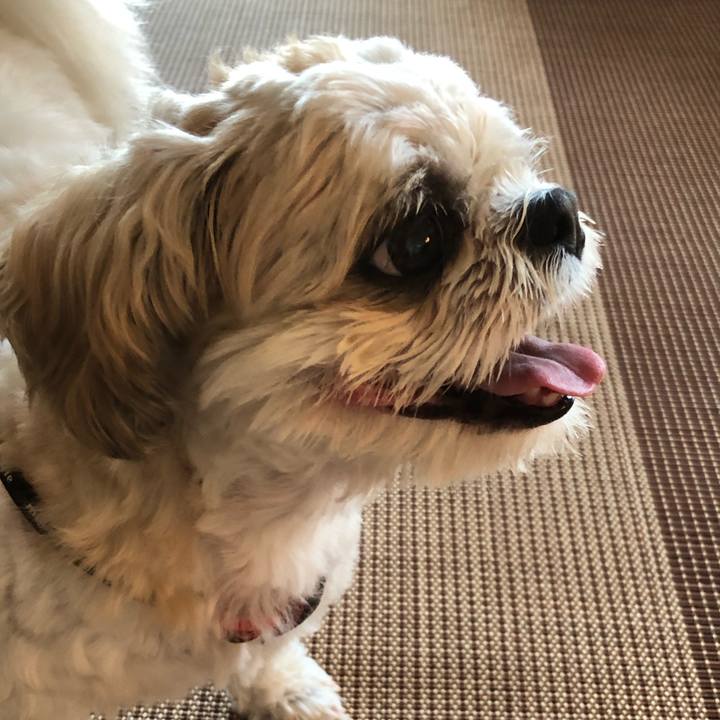 10a3d69c d636 41da afb4 3af00fb65373 1596404892904