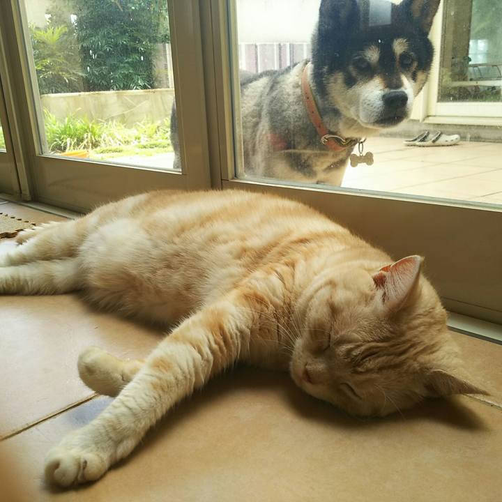 10a3eb7b bab8 4a76 b221 0dd9f5c29745 1529383810505