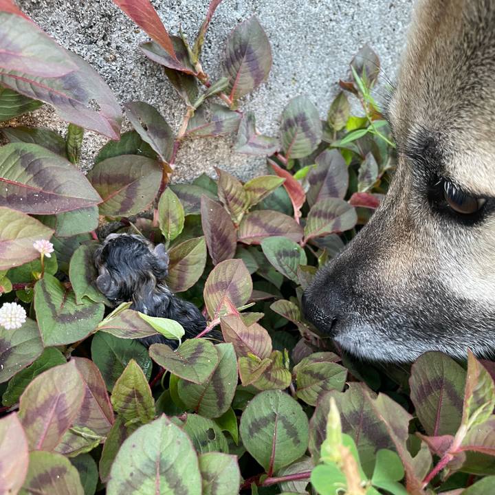 10a3f95a ff53 4b4e ae0f 7e8a6d74f396 1656681132733