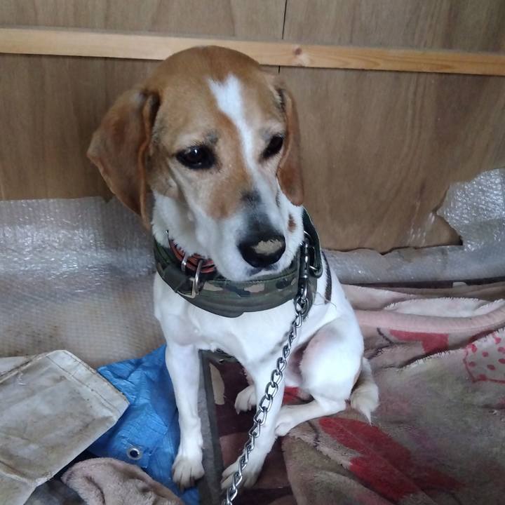 10a41a23 799d 4502 b06d c4d9247afa0f 1687870317359