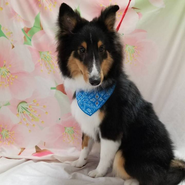 10a44761 4f14 4765 8f7a 6ae091911135 1524520667481