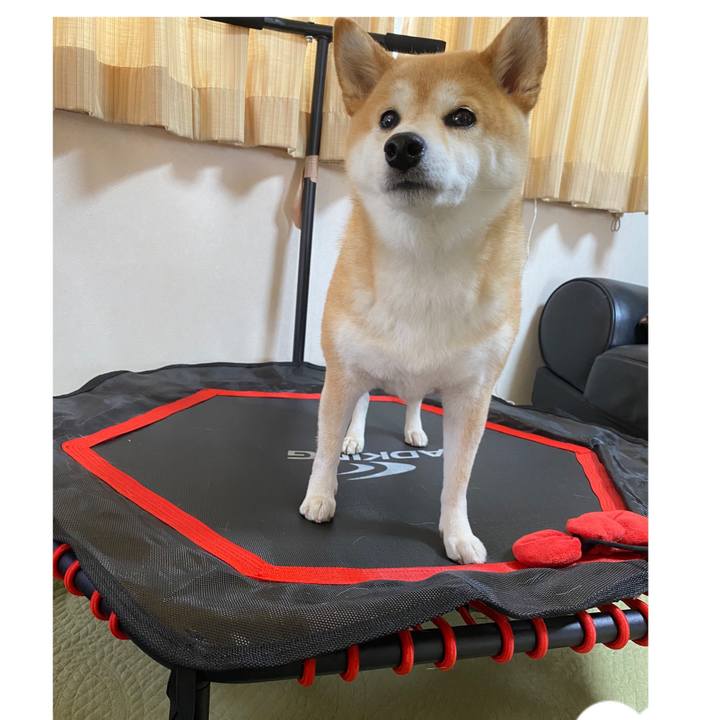 10a45901 a1ed 49ea 9f8b 8ae9fa3d2b99 1591502107974