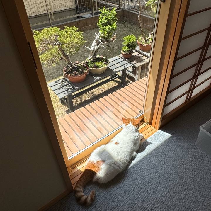 10a46533 96db 4499 a640 4912a60ec7c7 1775878117725