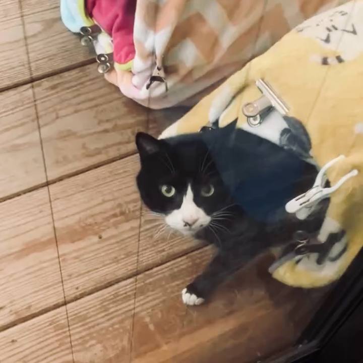 10a49021 dd8d 496e b081 e59861a68a26 1734073899329