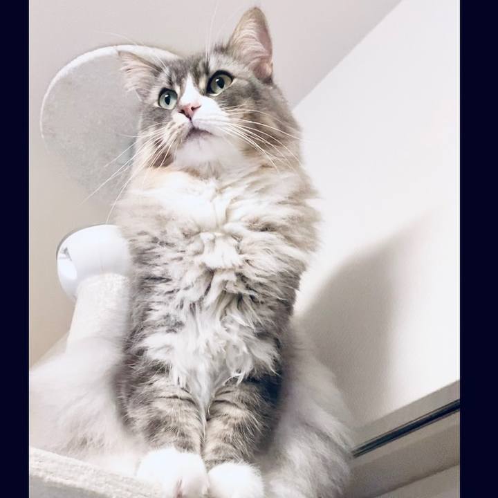 10a4924c d1d0 461b a2fc 7fc54f0d2ac5 1632589717986