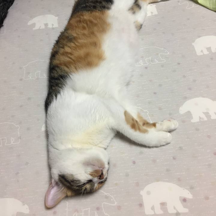 10a4bc3f d0b4 443b 8970 0c730721f704 1662295390807