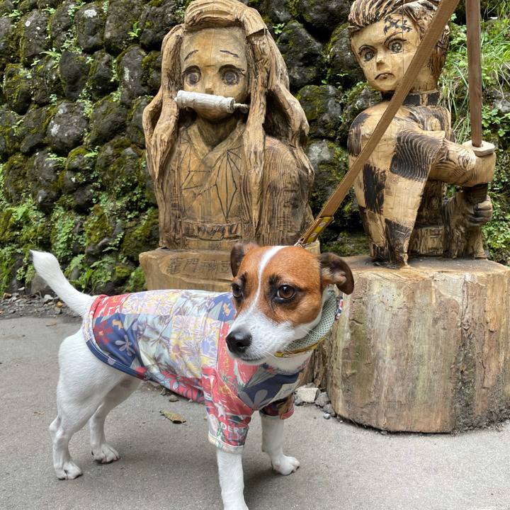 10a4f6c4 7ef9 49a4 bf00 5fa26f12bc01 1629548908787