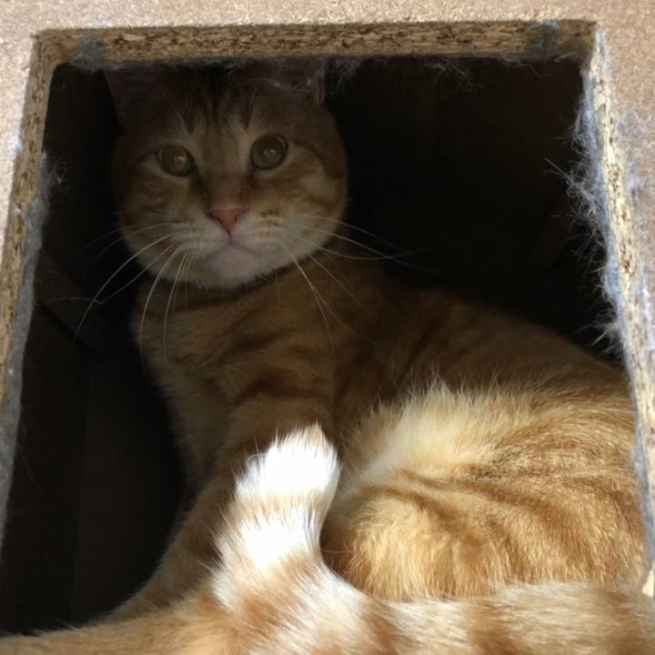 10a56c9d 1335 49e7 8207 9957b5d7bdf9 1558704600331