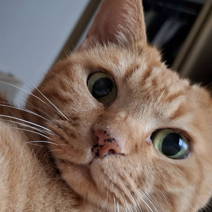 10a57ee6 37d2 40db af7e aa52ced12bf3 1725874090569