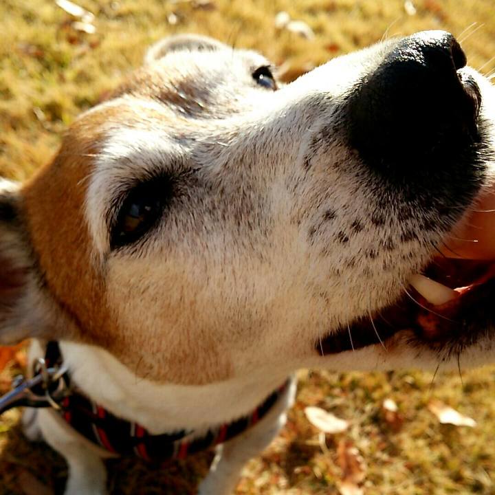 10a5a6ce 85ee 4ff3 9a6d 6f8e7ab45096 1512207532759