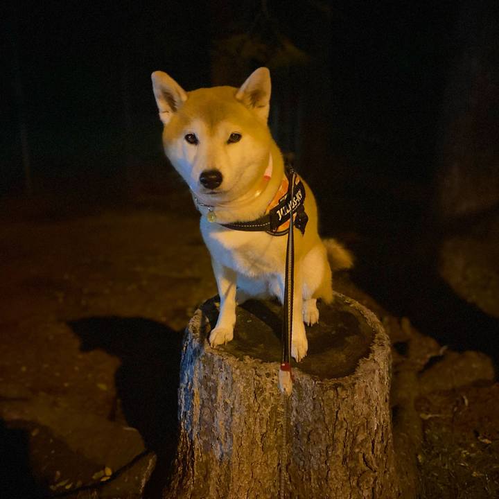 10a5c0ed 4b0e 4fb6 89fb 4592edf122e9 1635242891945