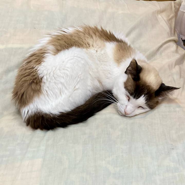 10a5c89f 9fb8 4adb 8194 20b1892bc63b 1678068305427