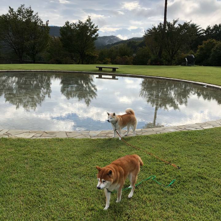 10a5db7b b0a1 42bc a691 04db6ae9e201 1537606331597