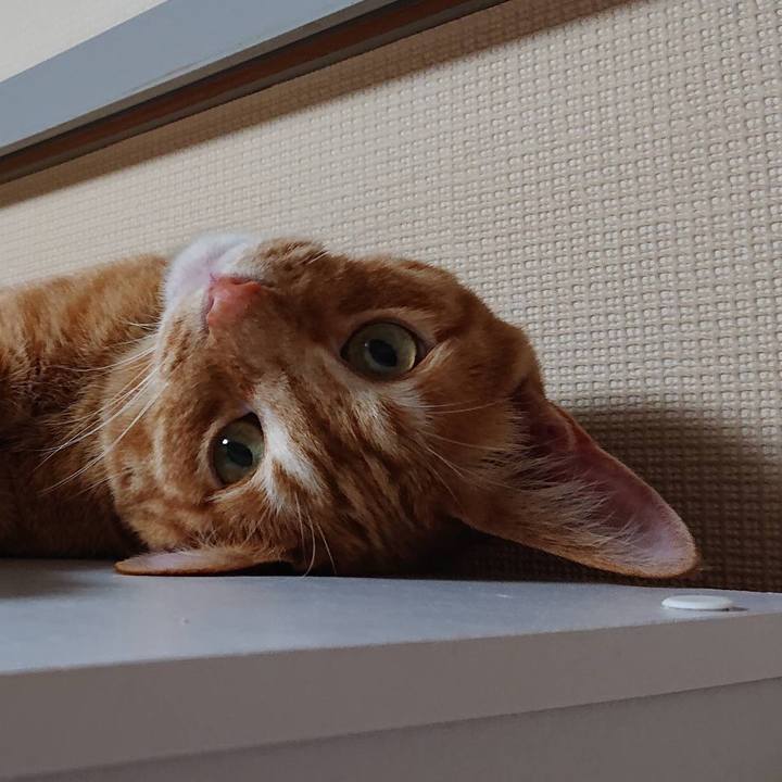 10a6251c 7aad 4bea 8e47 ee28c0c91335 1660228546042