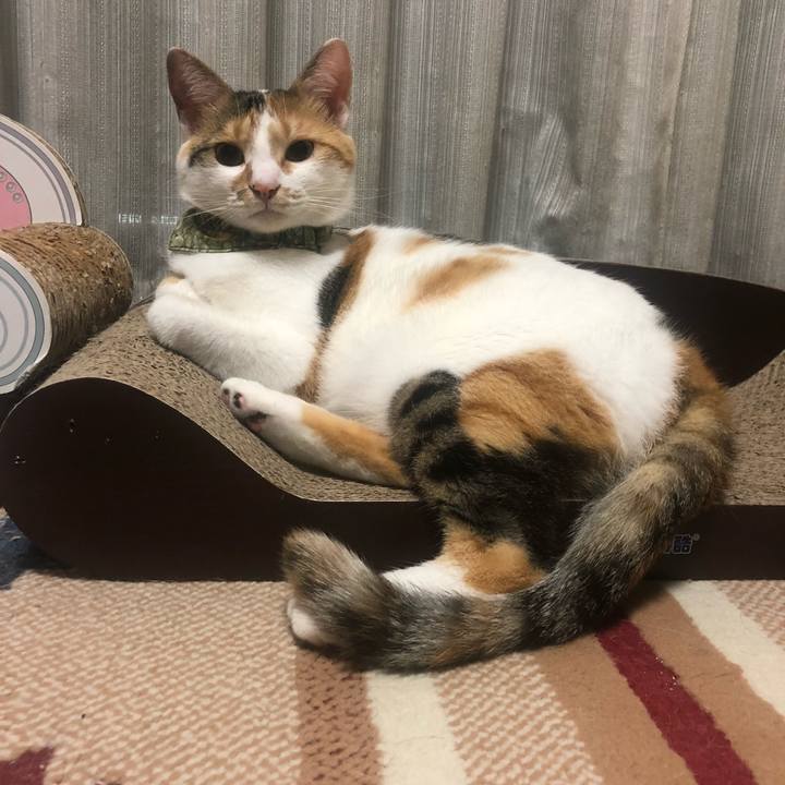 10a65bad 2bae 4402 bb70 af4d44d78f87 1598195565781