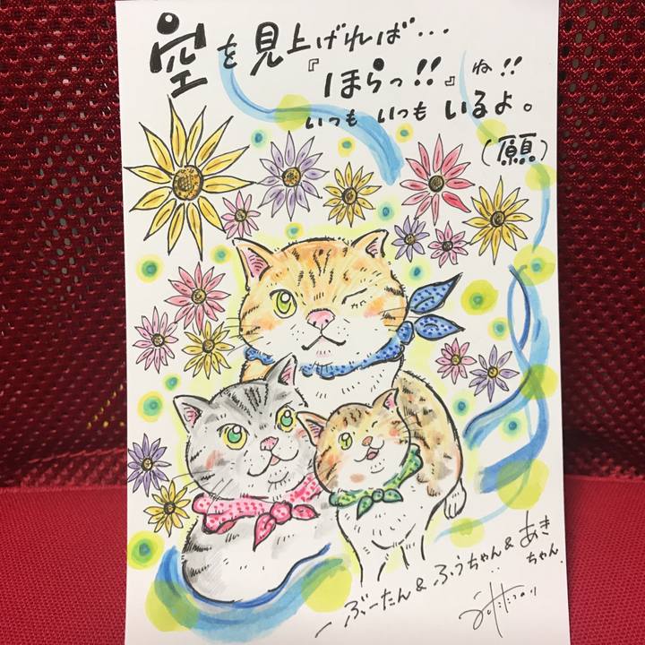 10a65c98 ba3d 4f90 98bb 15d4ab76272d 1557503945842