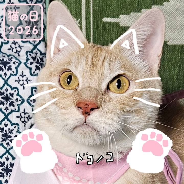 10a66be5 cde6 4687 93fb 64ae36a42a95 1771717745024