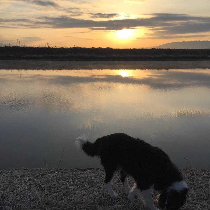 10a697a8 68a7 4b87 a667 09ff4e17baad 1580944112133