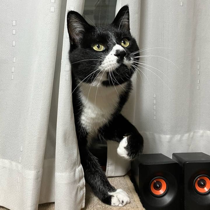 10a6b633 8e22 4fd8 b2e5 a07b5526abc7 1738644037249